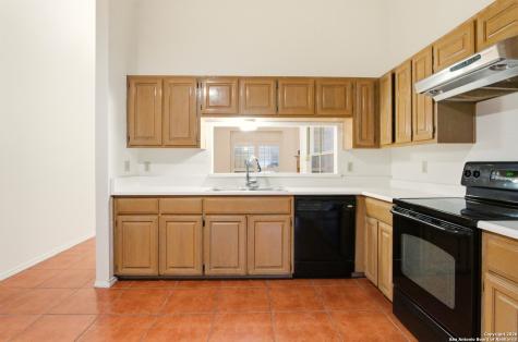 13802 Blenhein Ridge San Antonio TX 78231