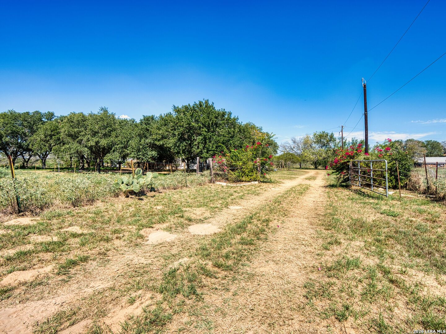 1555 Hoffman Road Lytle TX 78052