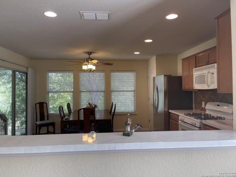 4822 Sandhill Crane San Antonio TX 78253