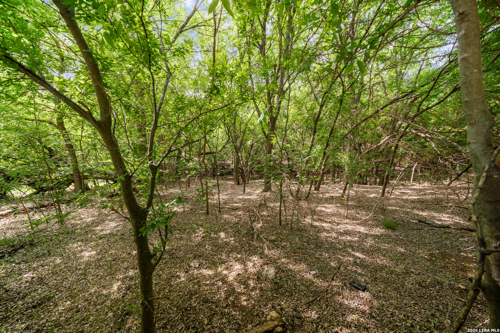 4003 Arbor San Antonio TX 78251