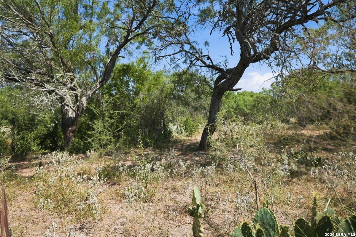 171 County Road 325 George West TX 78022