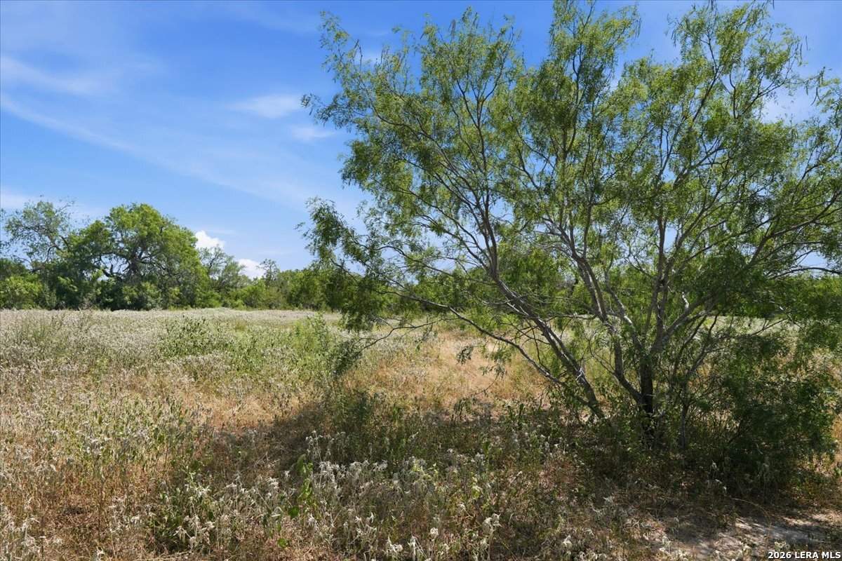 171 County Road 325 George West TX 78022