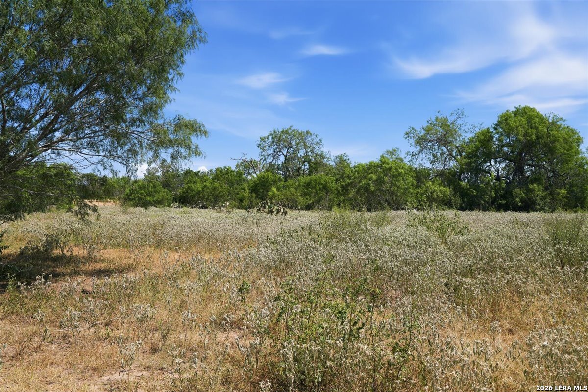 171 County Road 325 George West TX 78022