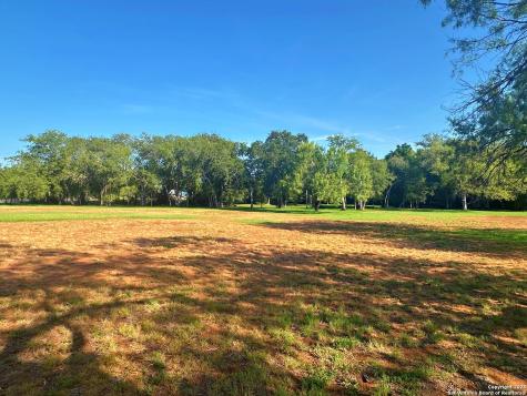 508 Lagunillas Charlotte TX 78011