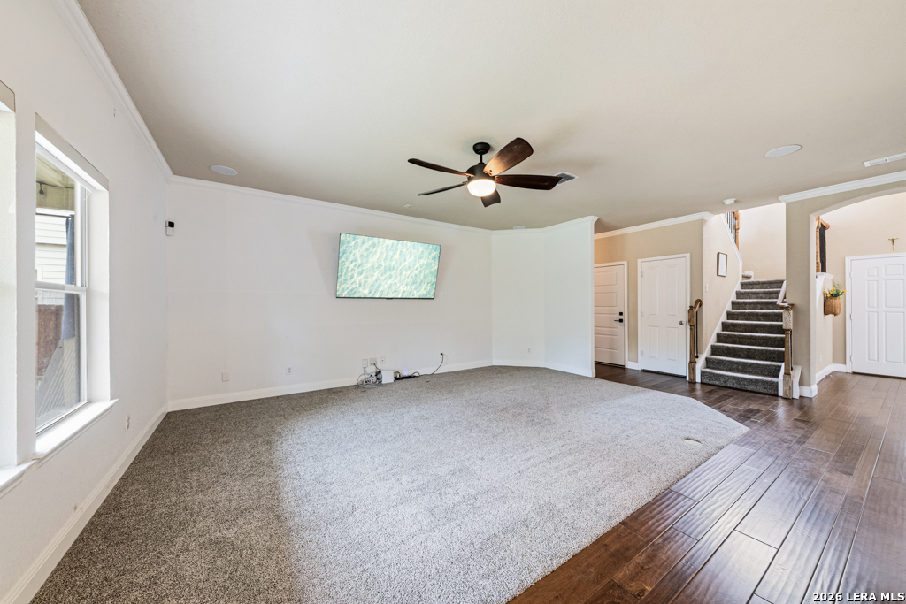 10911 Fox Glove Field Helotes TX 78023