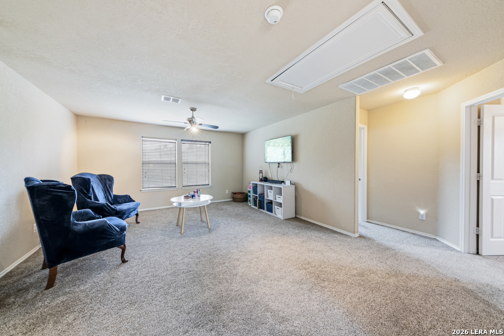 10911 Fox Glove Field Helotes TX 78023