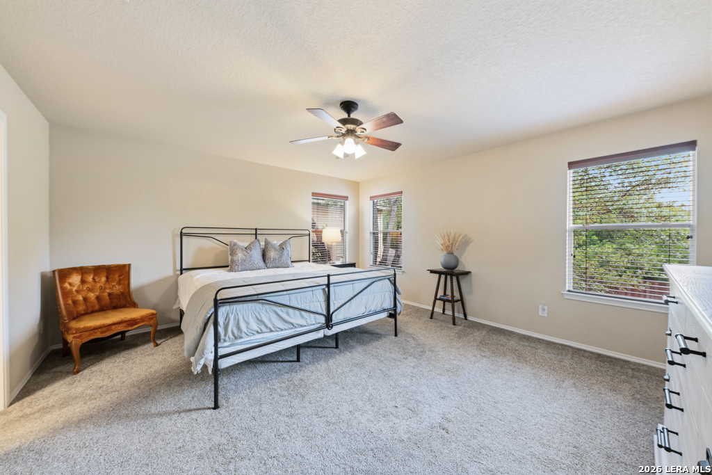 10911 Fox Glove Field Helotes TX 78023