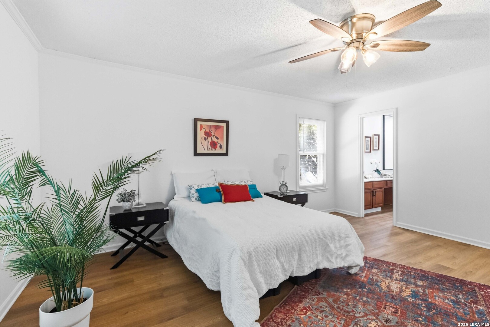 13603 Forest Walk San Antonio TX 78231