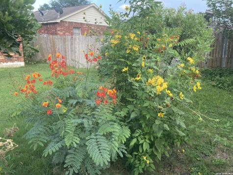 4715 Juniper Farm San Antonio TX 78244