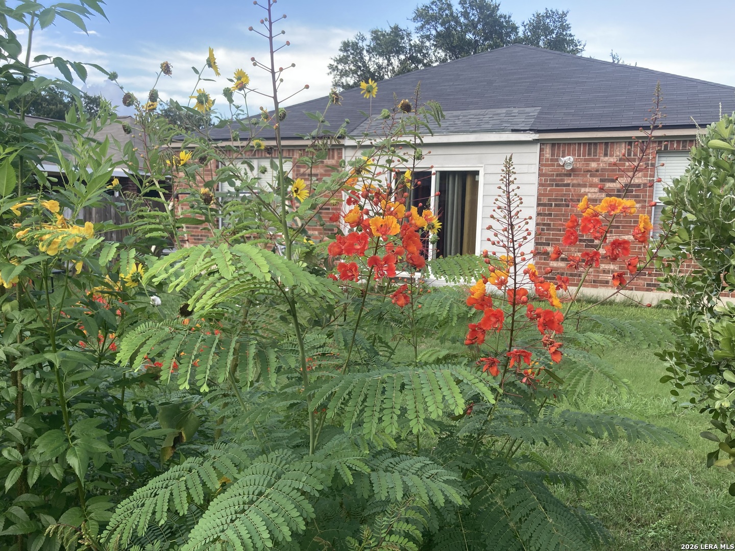 4715 Juniper Farm San Antonio TX 78244