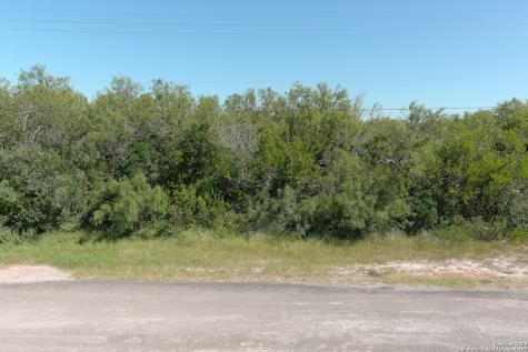 Tbd Flack West La Pryor TX 78872