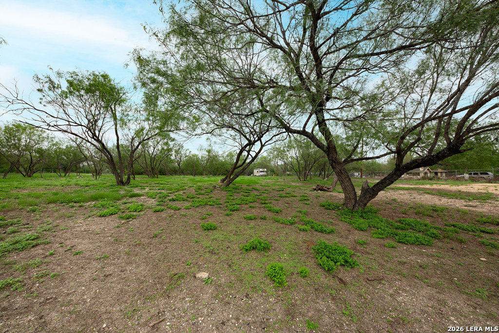 163 Enrique Avenue San Antonio TX 78237