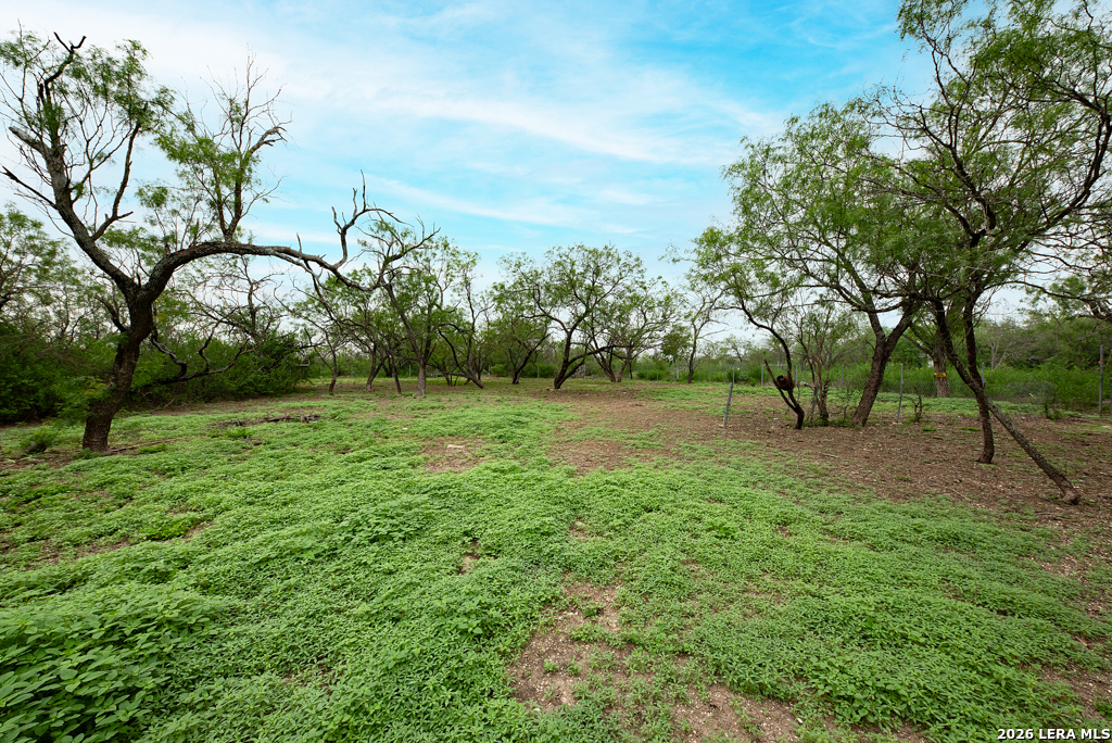 163 Enrique Avenue San Antonio TX 78237