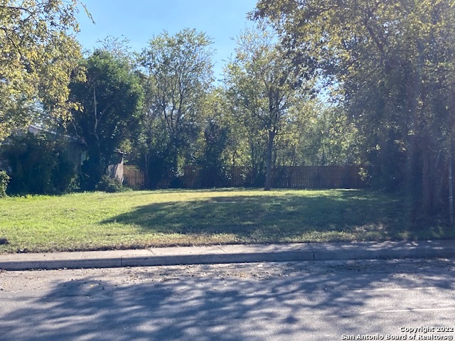 1610 Donaldson Avenue San Antonio TX 78228