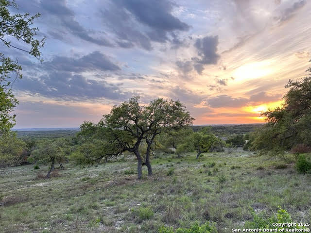 1074 Madrone Road Fischer TX 78623