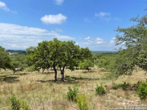 1074 Madrone Road Fischer TX 78623