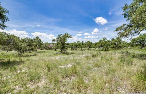 1074 Madrone Road Fischer TX 78623