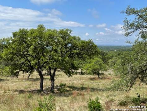 1074 Madrone Road Fischer TX 78623