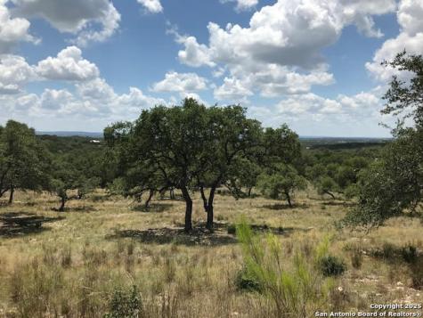 1074 Madrone Road Fischer TX 78623