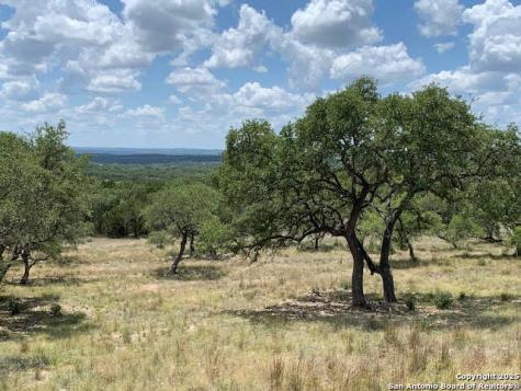 1074 Madrone Road Fischer TX 78623