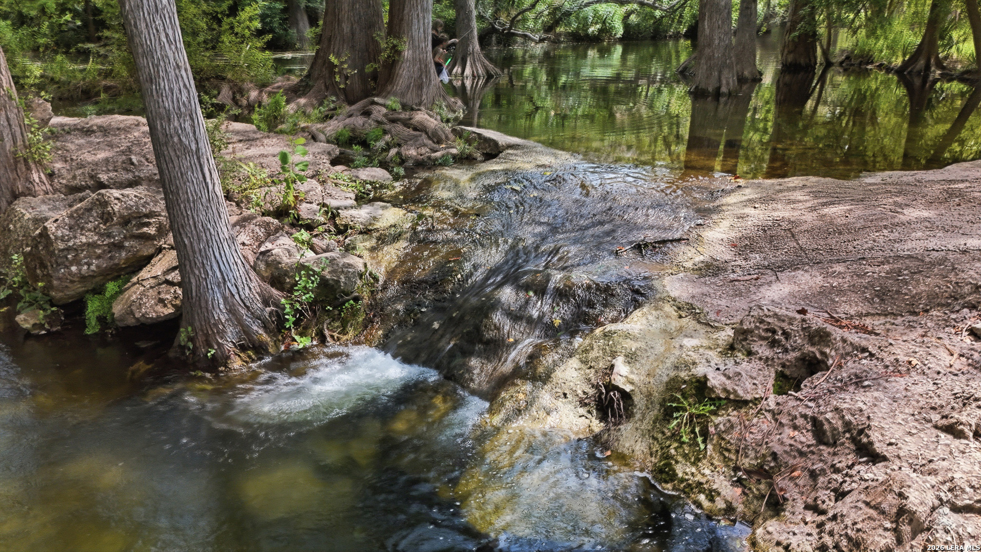 942 Leaning Oak Spring Branch TX 78070