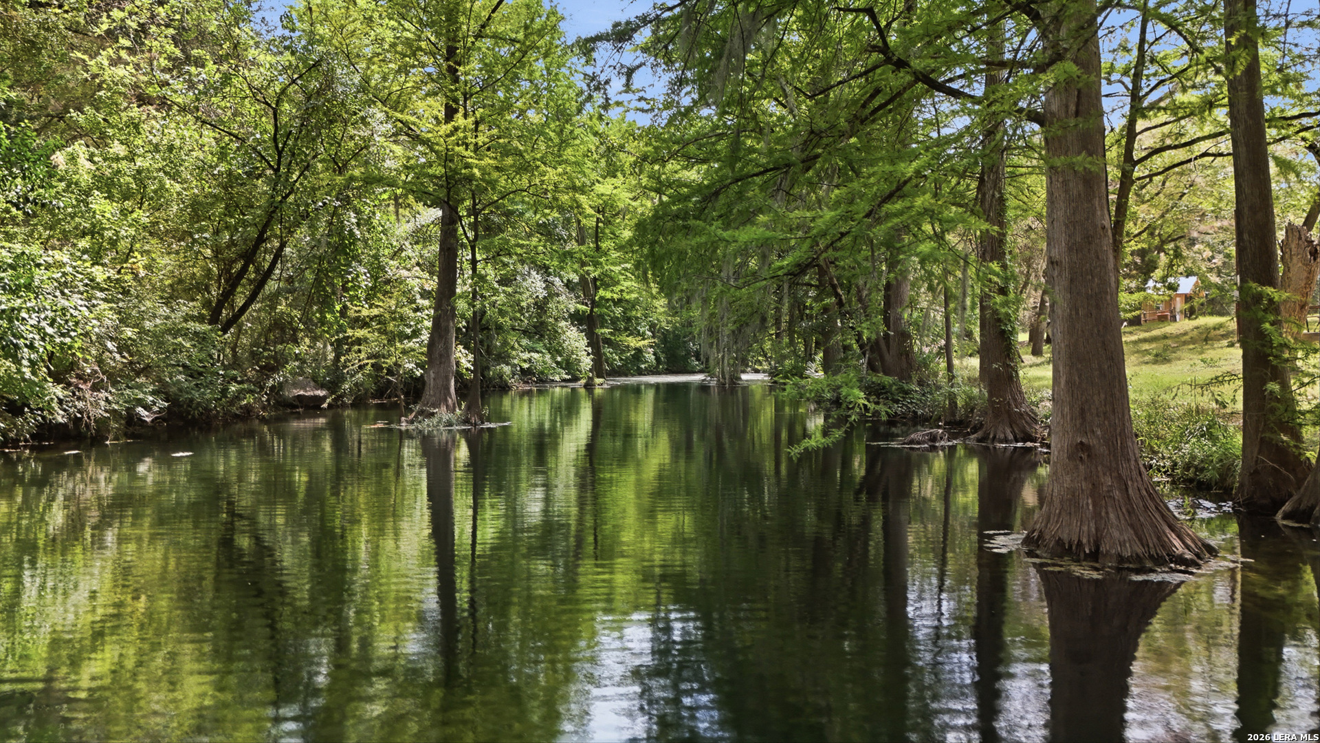 942 Leaning Oak Spring Branch TX 78070