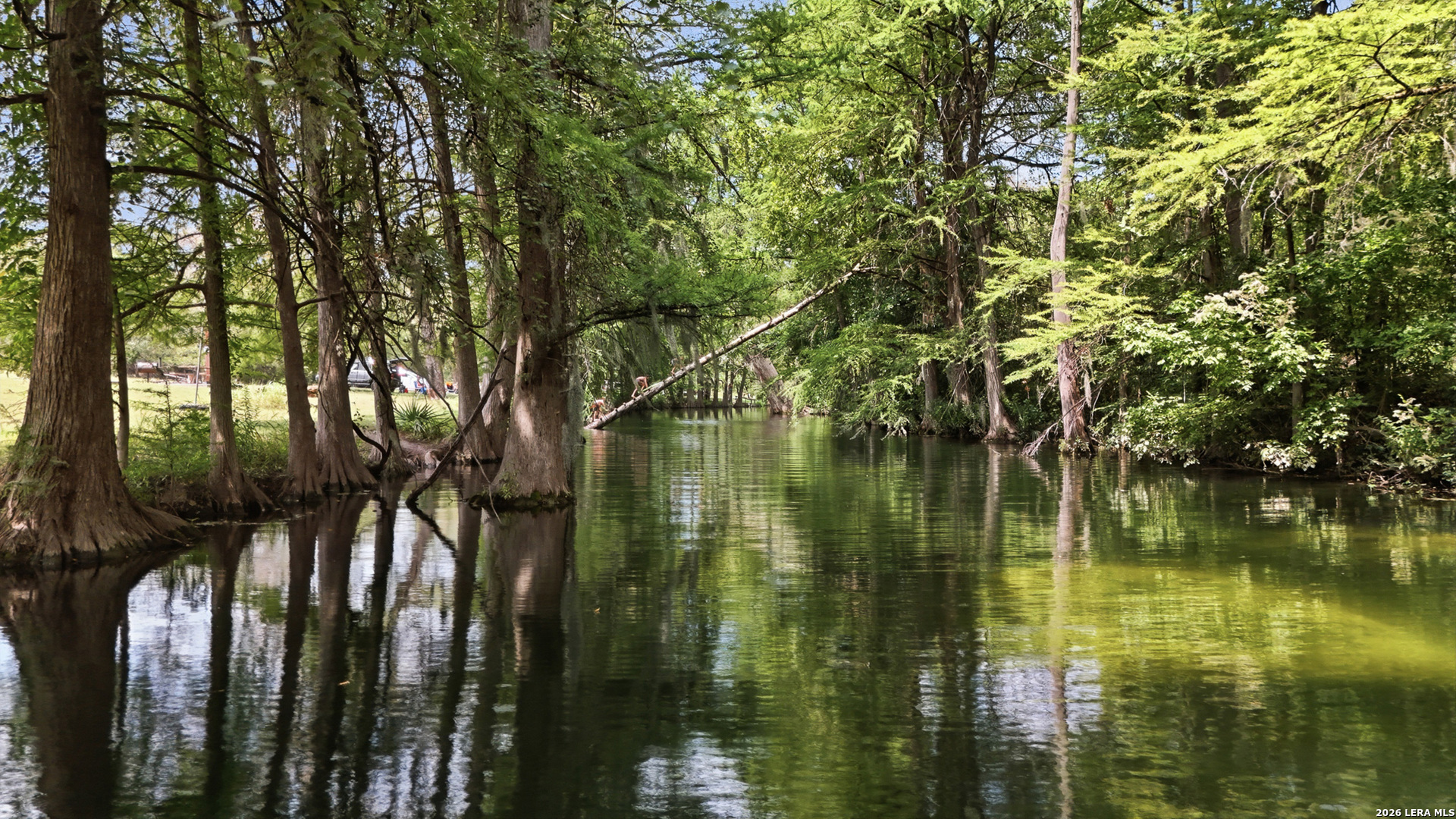 942 Leaning Oak Spring Branch TX 78070