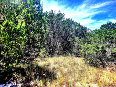 1680 Stallion Springs Drive Fischer TX 78623
