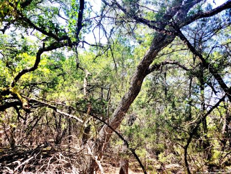 1680 Stallion Springs Drive Fischer TX 78623