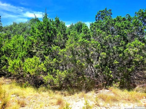 1680 Stallion Springs Drive Fischer TX 78623