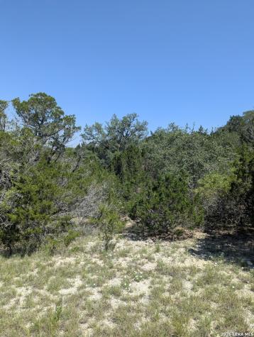 631 La Paloma Drive Canyon Lake TX 78133