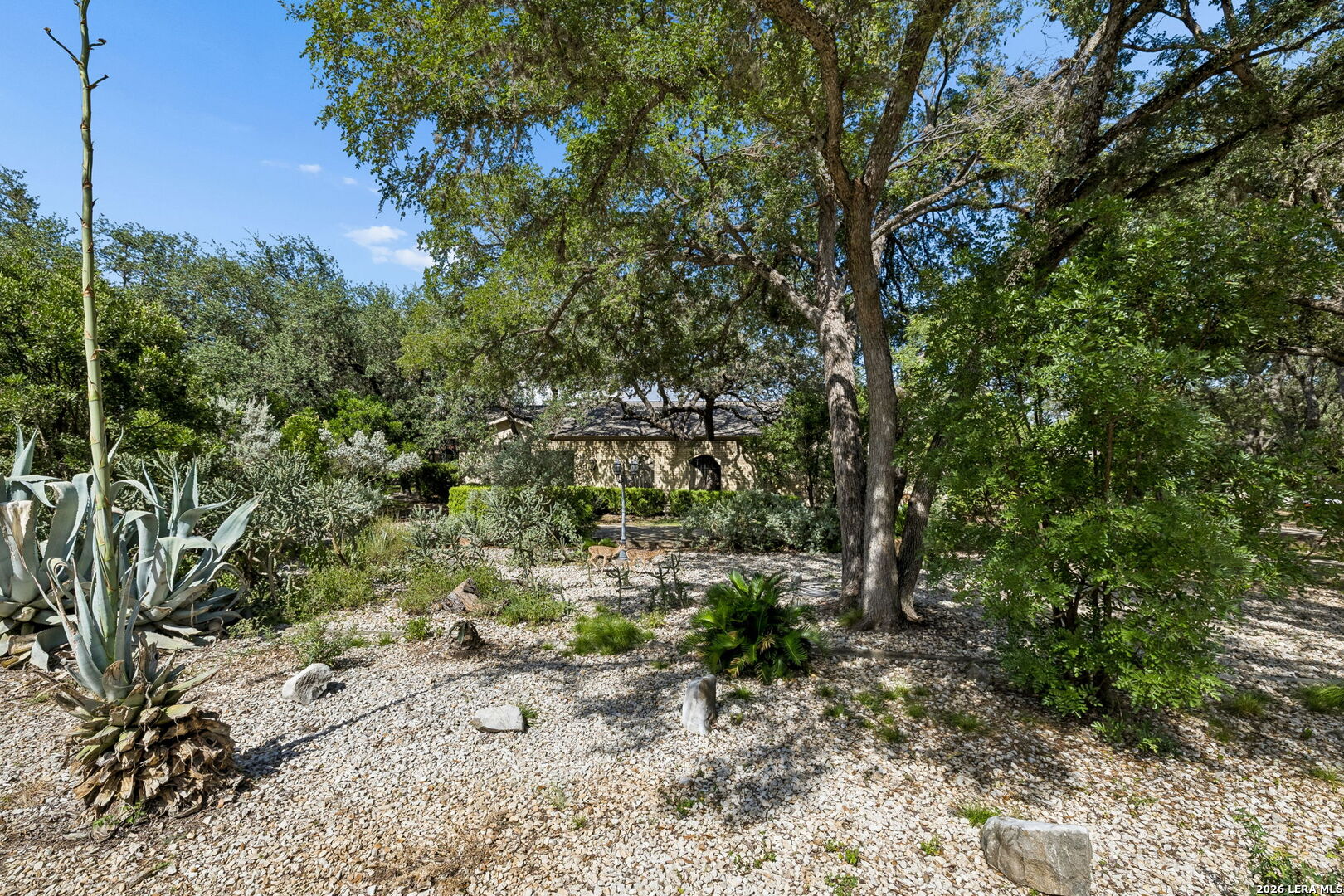 206 Rio Seco Street San Antonio TX 78232