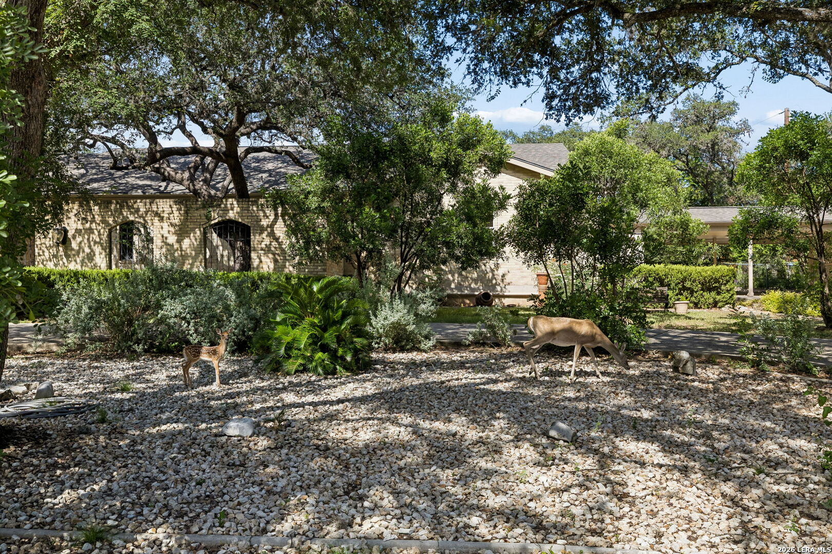 206 Rio Seco Street San Antonio TX 78232