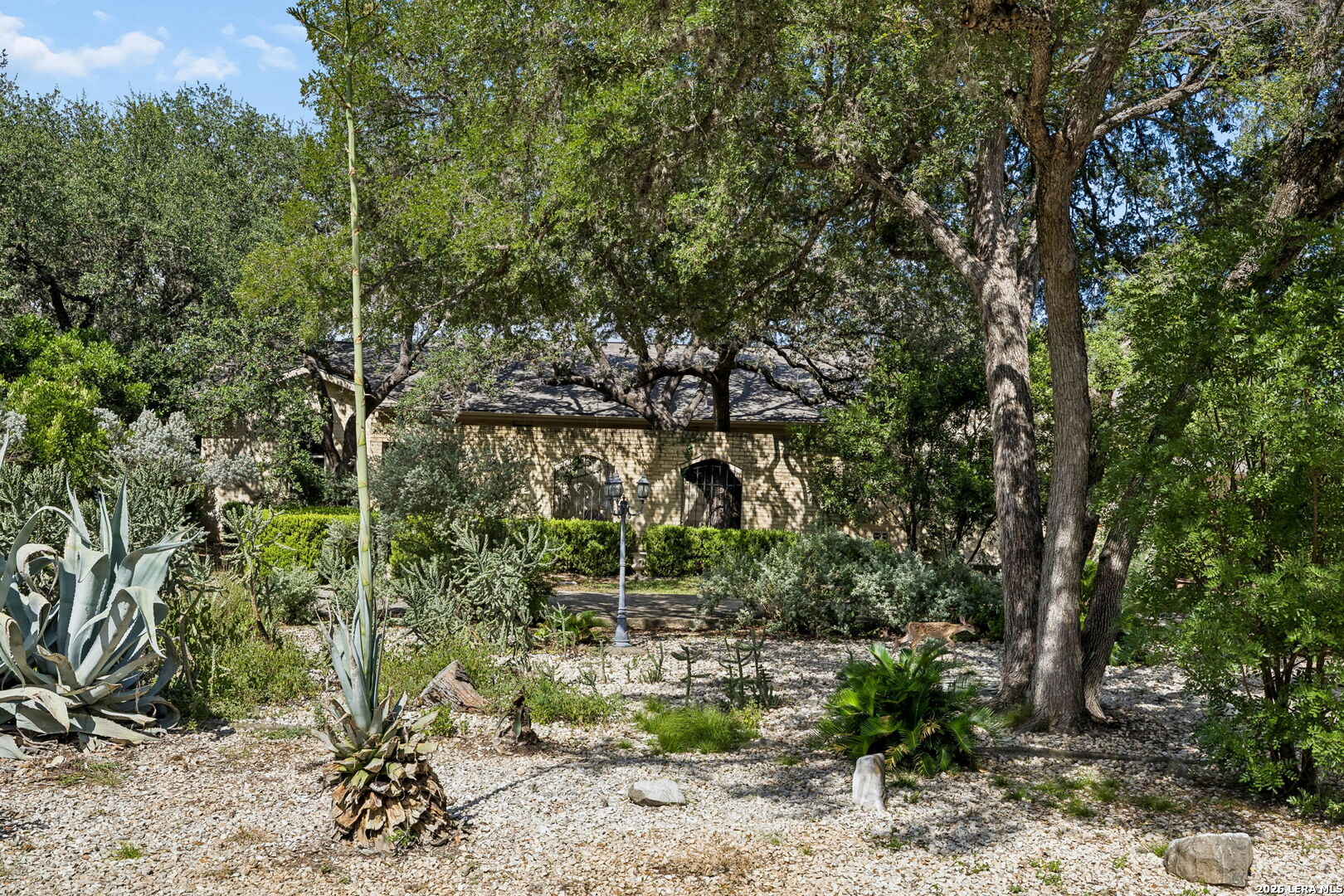 206 Rio Seco Street San Antonio TX 78232