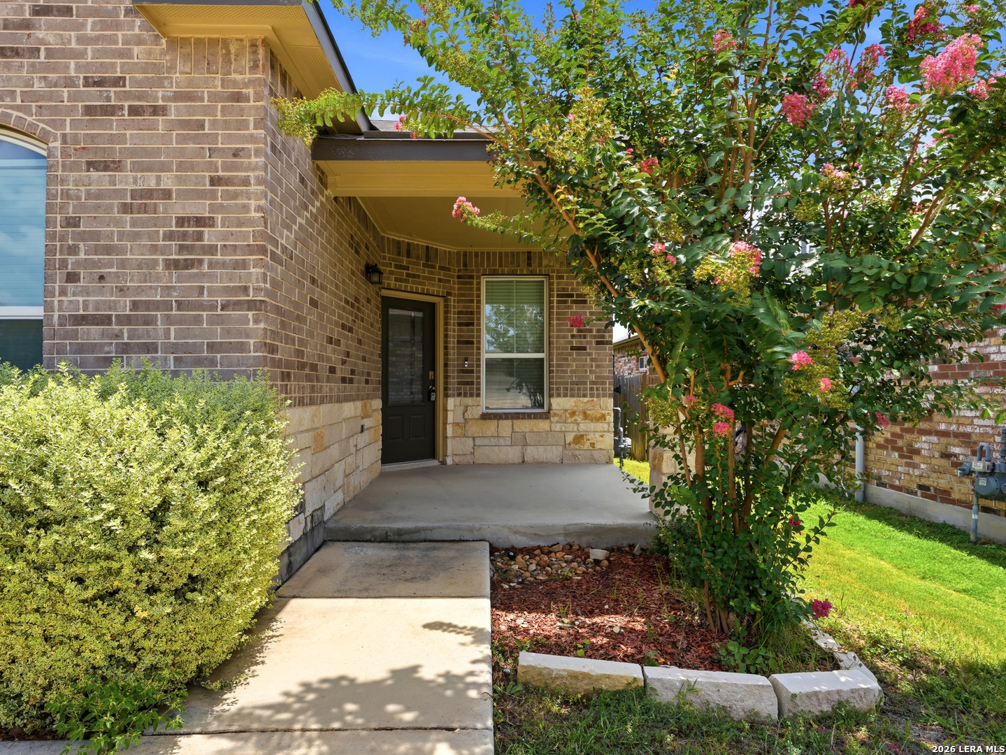 9418 Bracted Sedge San Antonio TX 78254