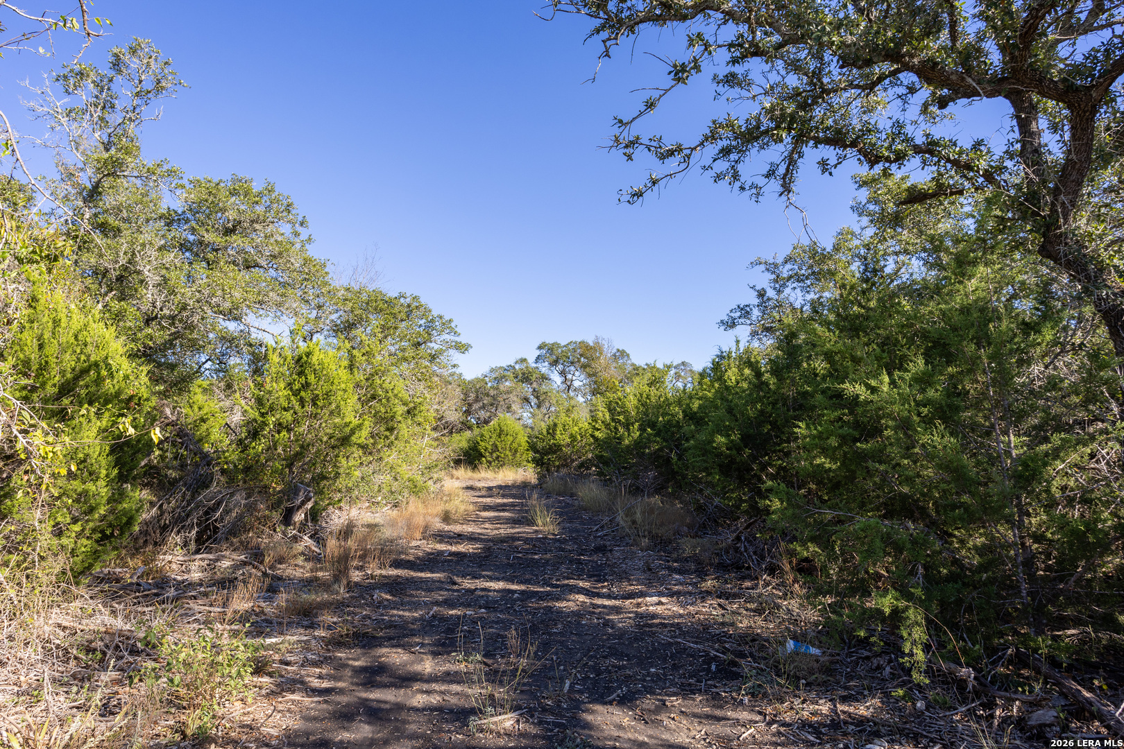 Block 1, Lot 25 Standing Tall Boerne TX 78006