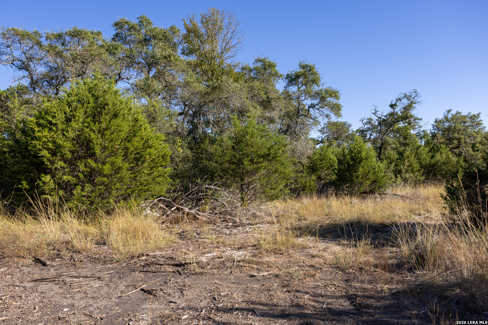 Block 1, Lot 25 Standing Tall Boerne TX 78006