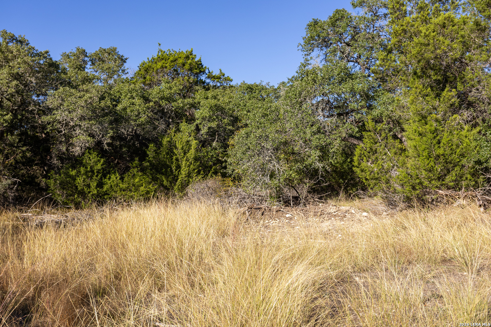 Block 1, Lot 25 Standing Tall Boerne TX 78006