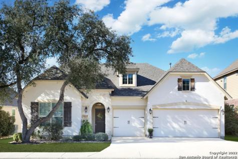 18607 Wild Onion San Antonio TX 78258