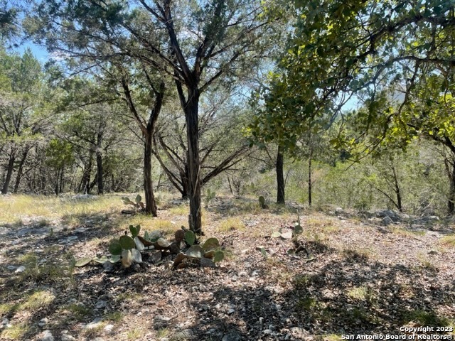 Lot 24 Broken Spur Road Bandera TX 78003