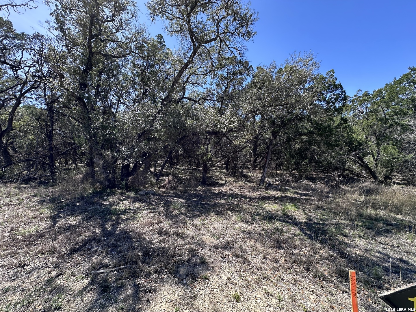 210 Tremaine San Antonio TX 78230