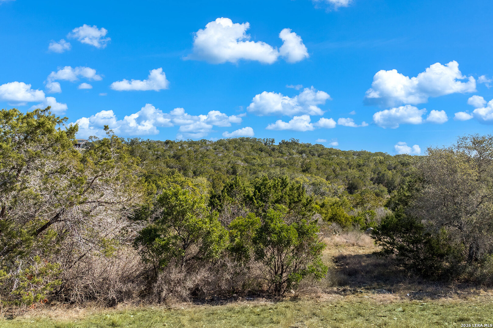 171 County Road 2814 Mico TX 78056