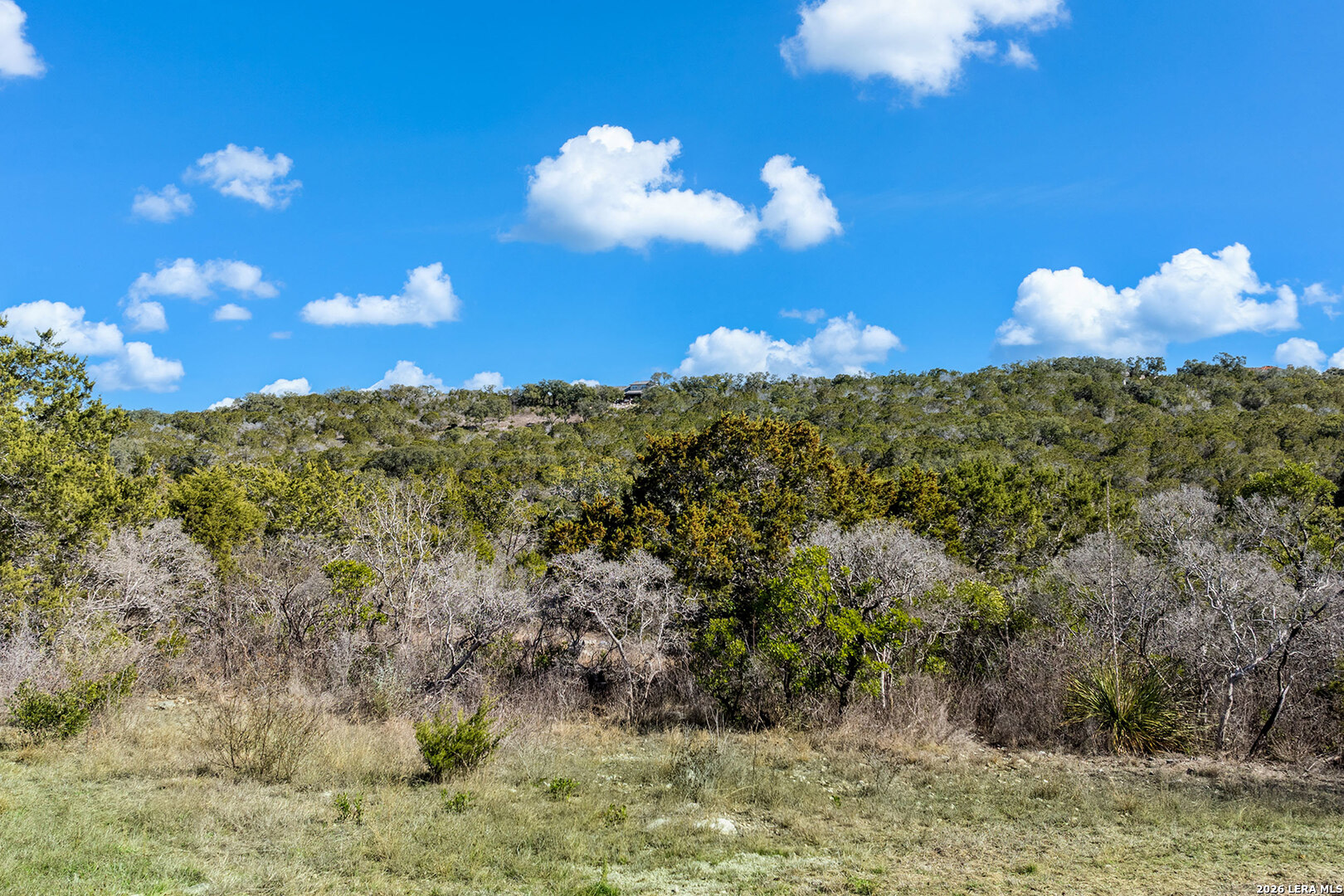171 County Road 2814 Mico TX 78056