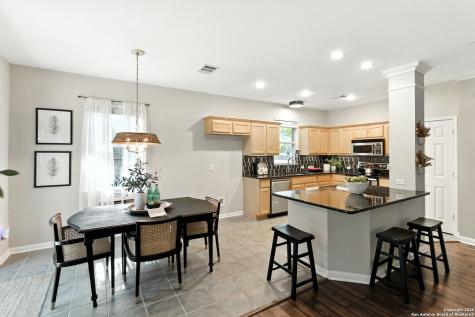 55 Vienna San Antonio TX 78258