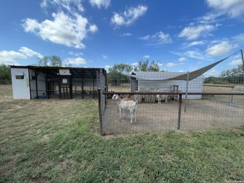977 Private Road 1688 Moore TX 78057
