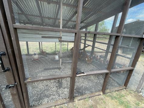 977 Private Road 1688 Moore TX 78057