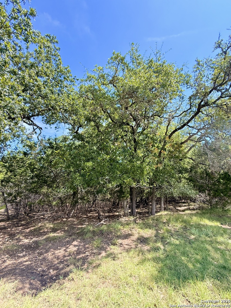 Lot 3 Nakomis Drive Bandera TX 78003