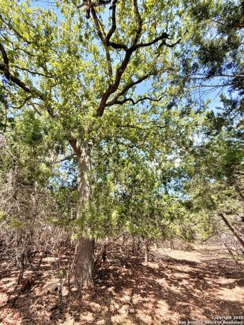 Lot 3 Nakomis Drive Bandera TX 78003