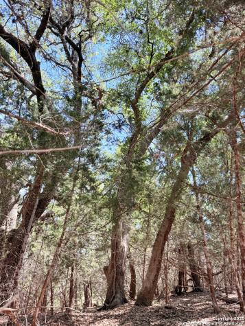 Lot 3 Nakomis Drive Bandera TX 78003