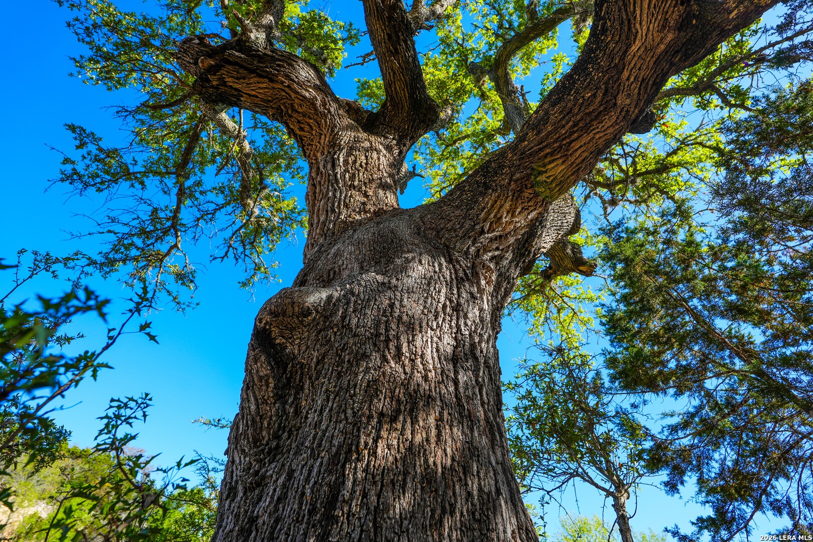 348 Rocky Road Pipe Creek TX 78063